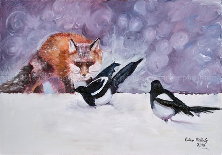 Red Fox & 2 Magpies